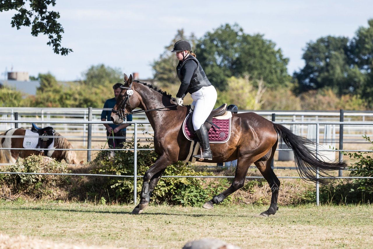 Bild 29 - Pony Akademie Turnier